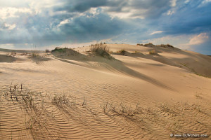 Afternoon light at Jockey's Ridge State Park Nags  Head.